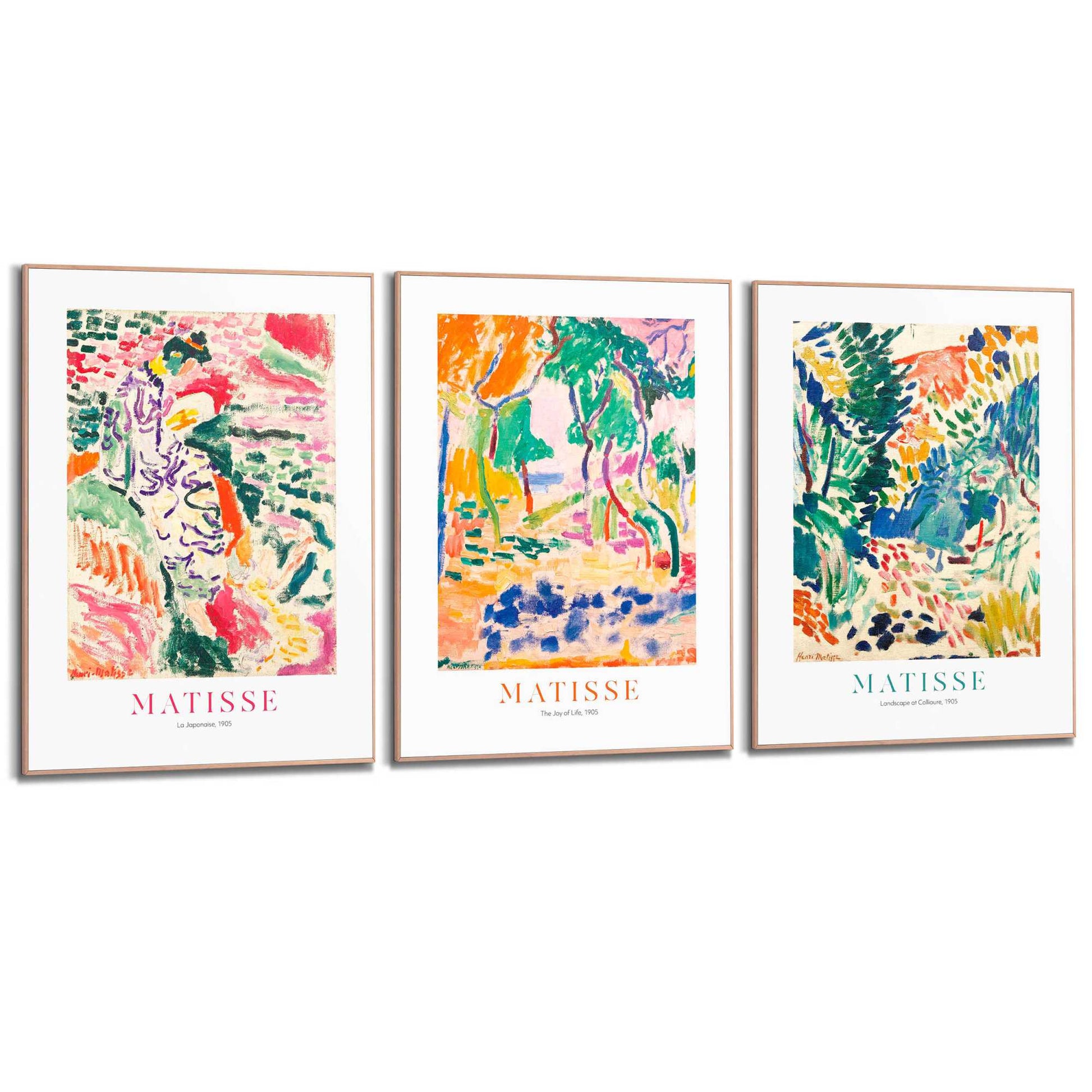 Framed in Wood Matisse Floral Set 70x50
