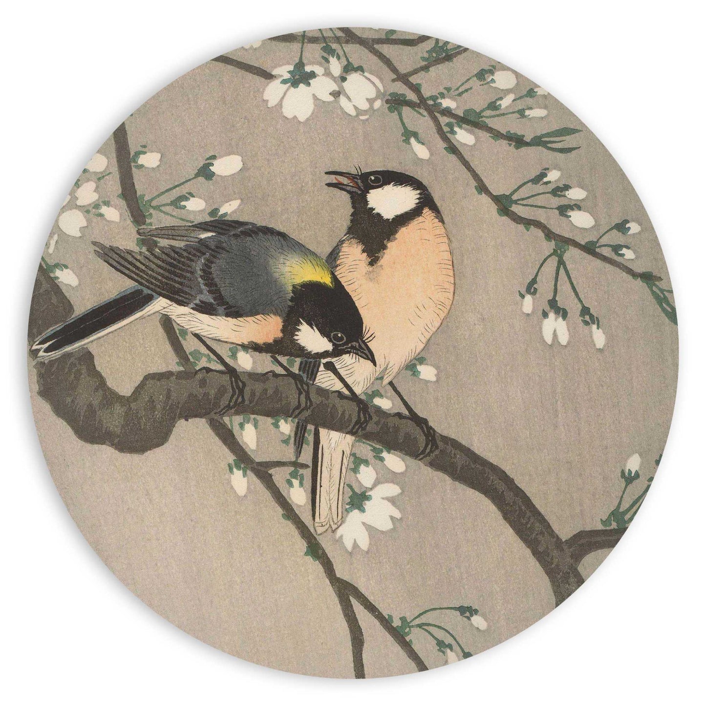 Painting Old Master Yellowbird 80 Rond