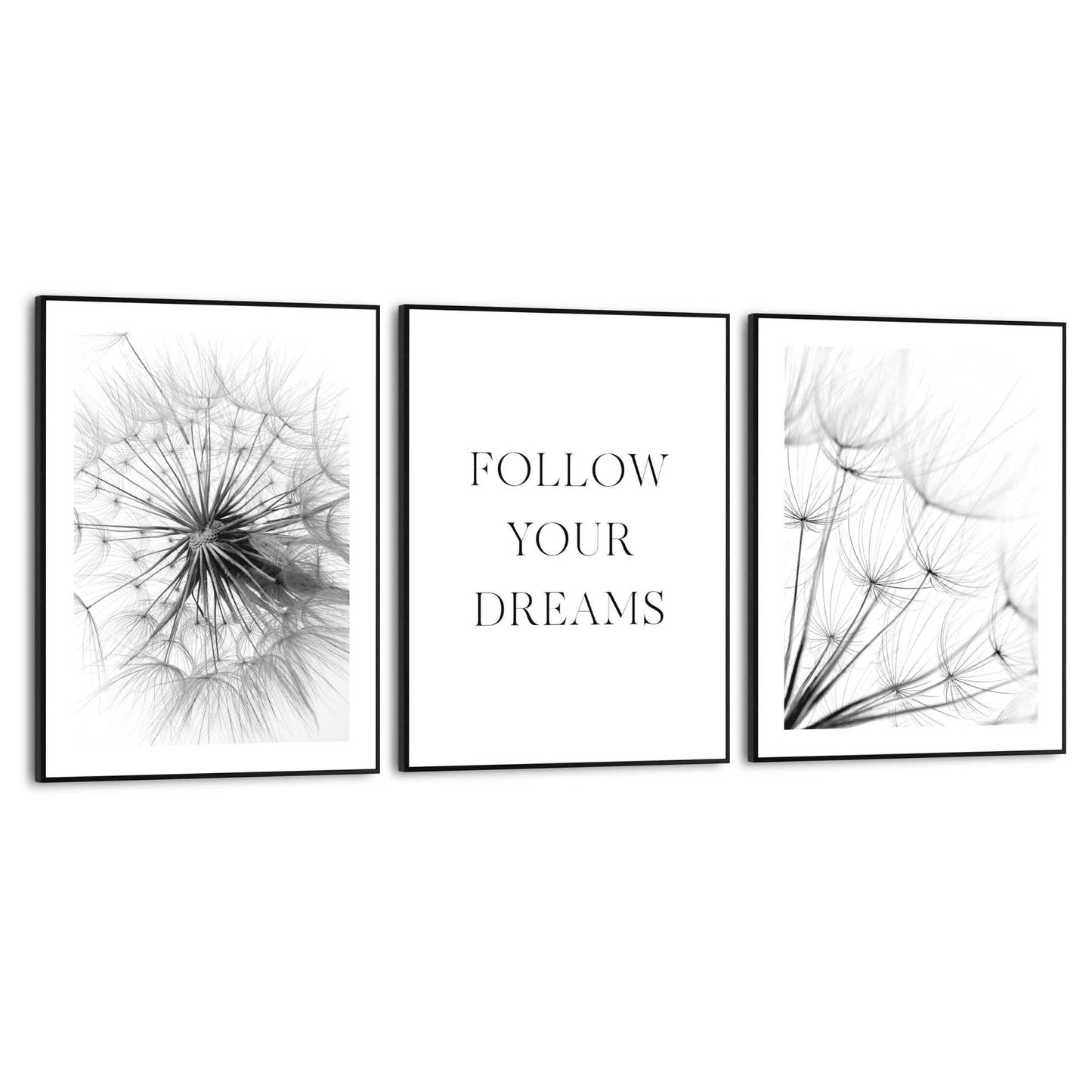 Framed in Black Dandelion Set 40x30