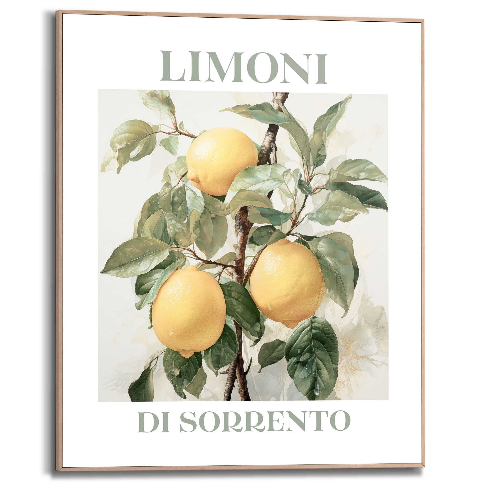 Framed in Wood Limoni 50x40