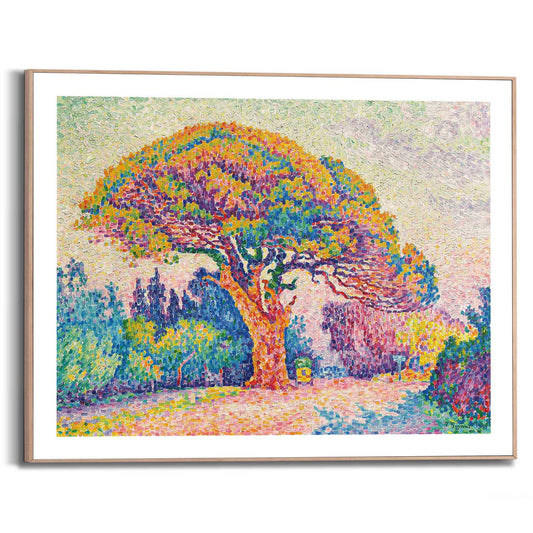 Framed in Wood Paul Signac - pine tree in Saint-Tropez 40x50