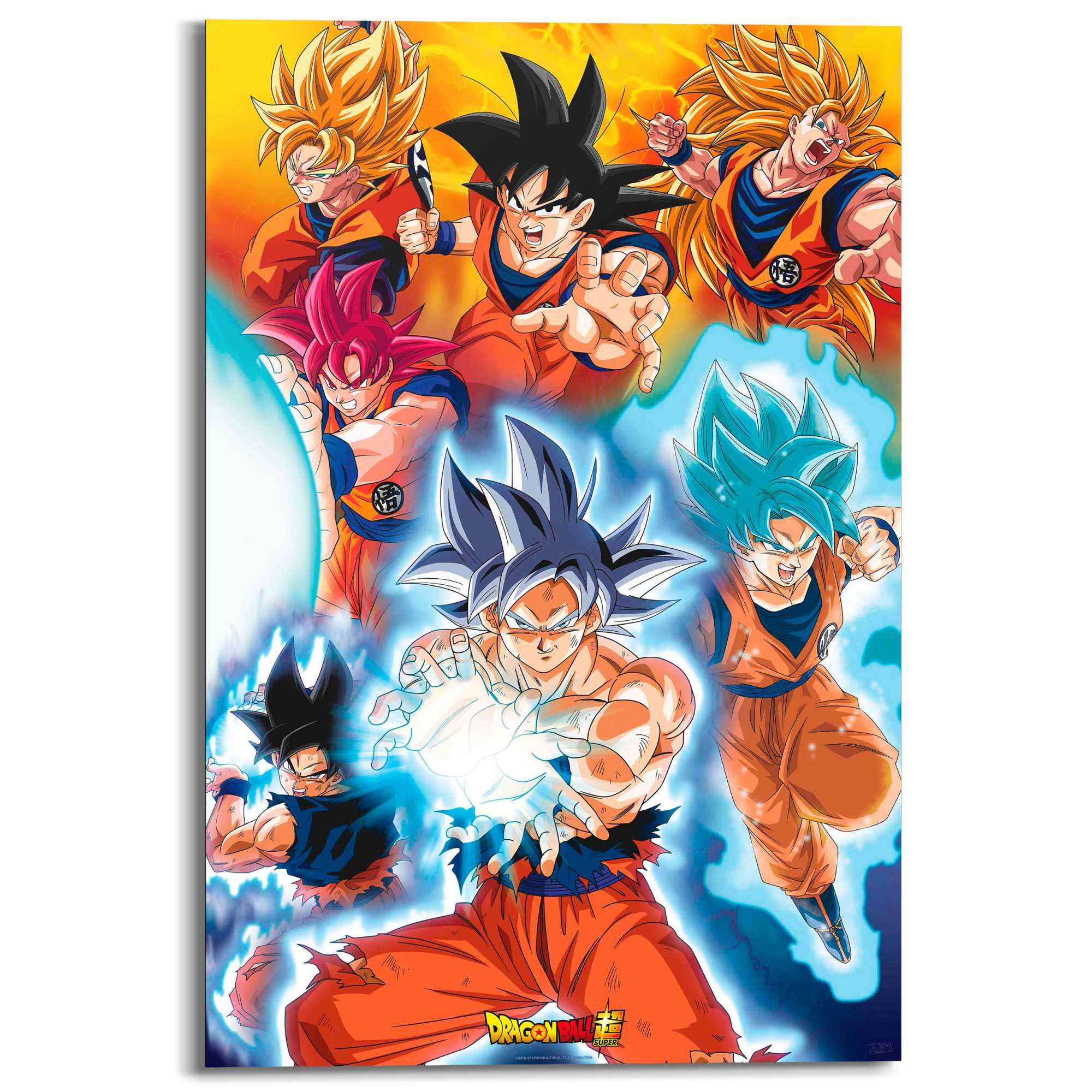 Dragon Ball buy Painting