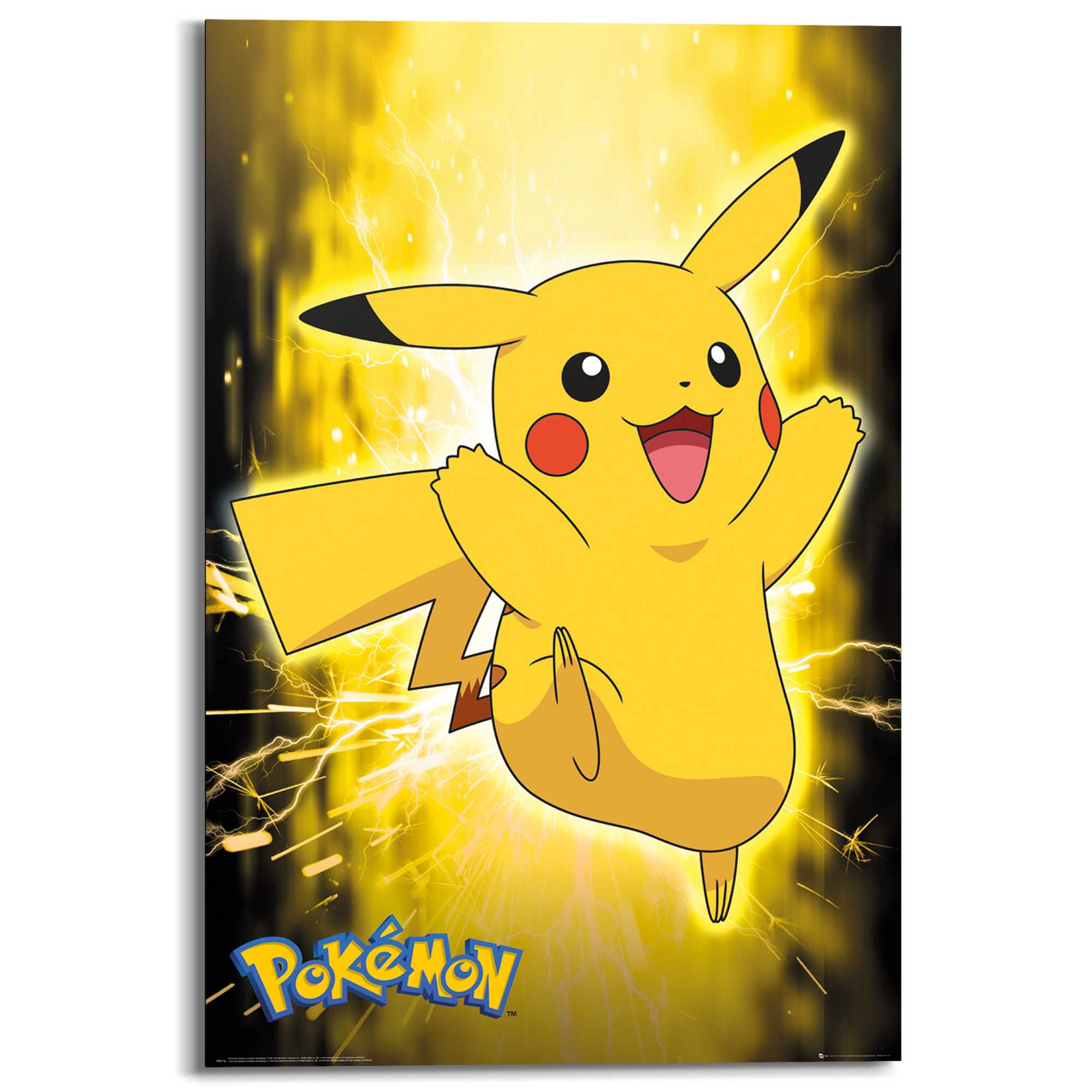 Orders Pokemon Pikachu painting