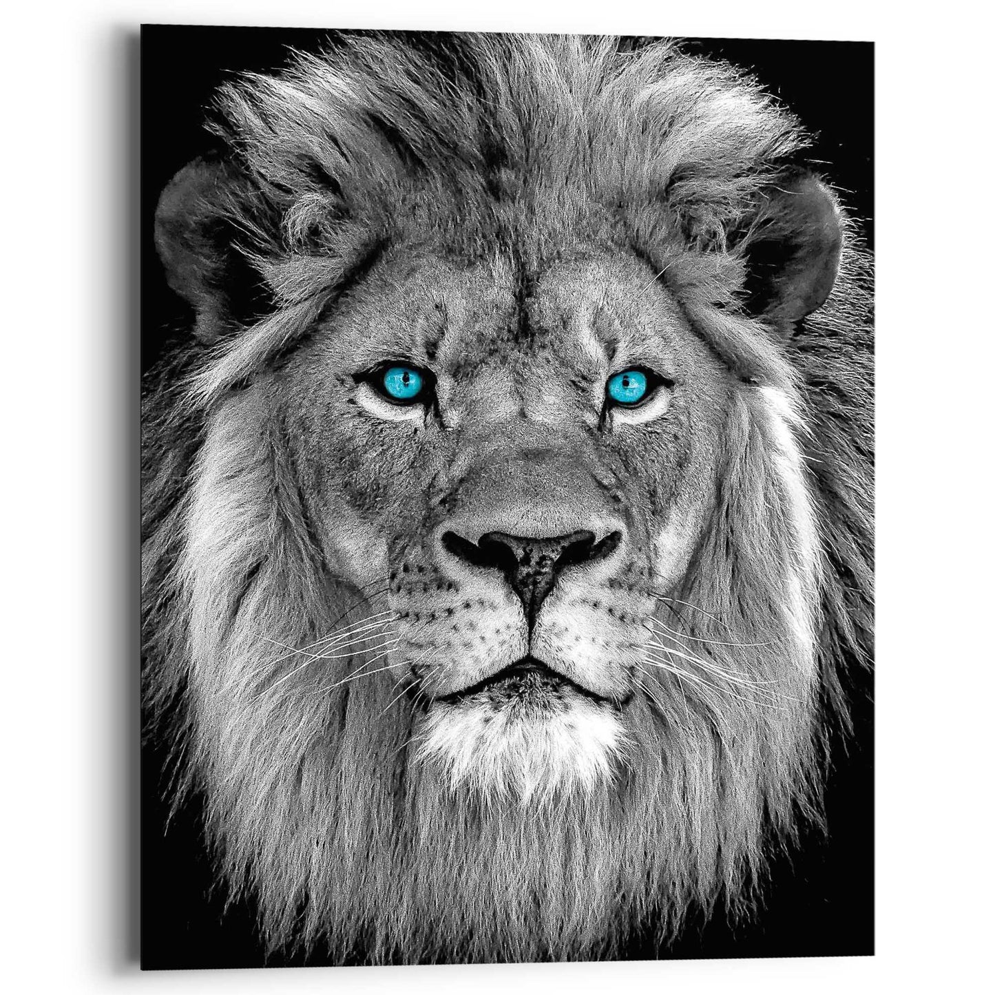 Painting Blue Eyed Lion 50x40