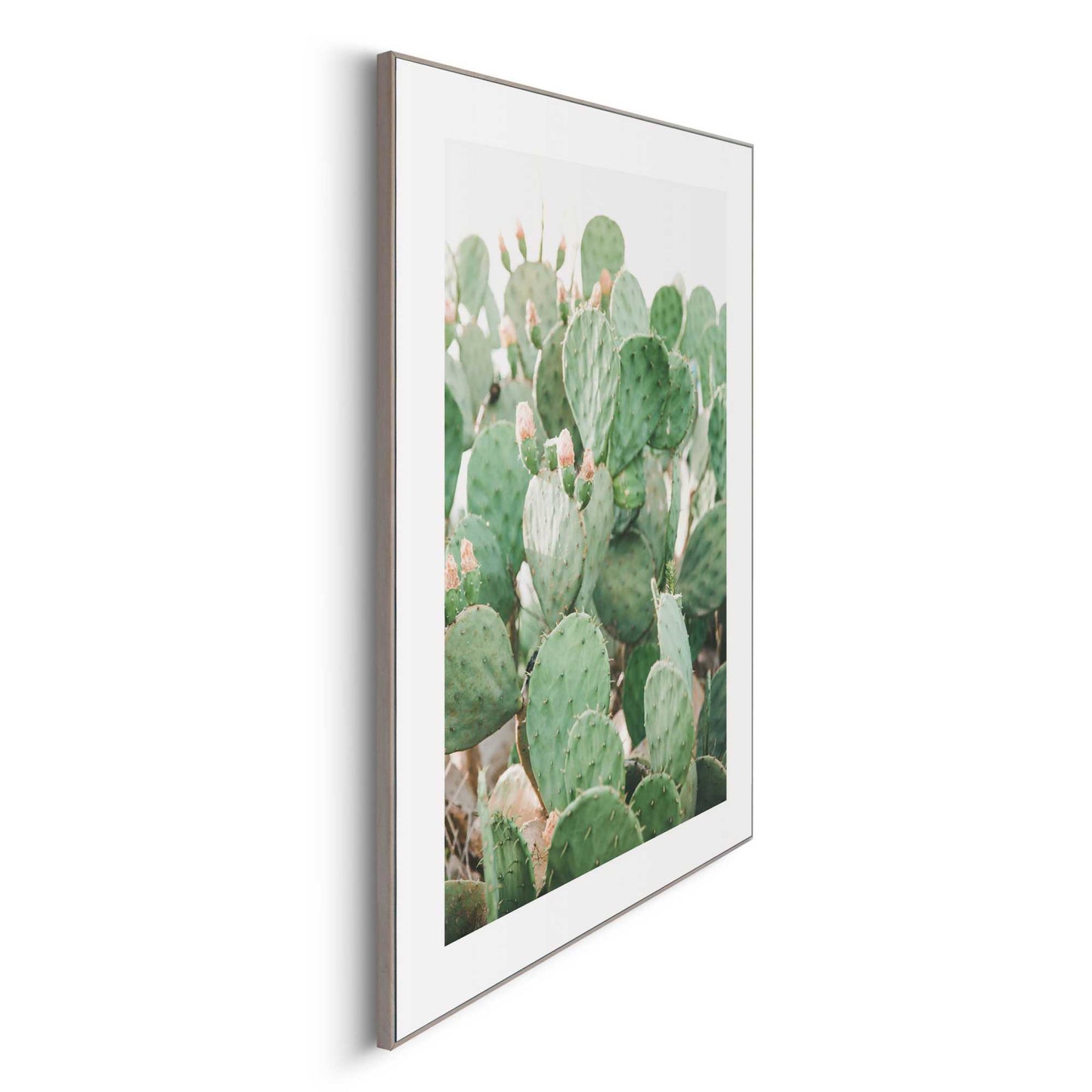 Framed in Wood Floral Cacti