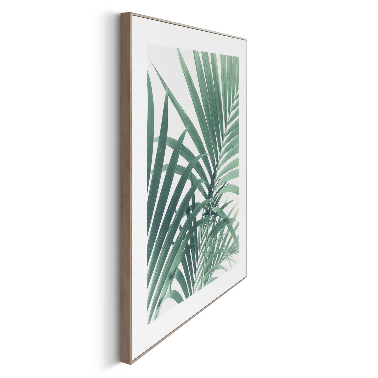 Framed in Wood Palm Tree Leaf