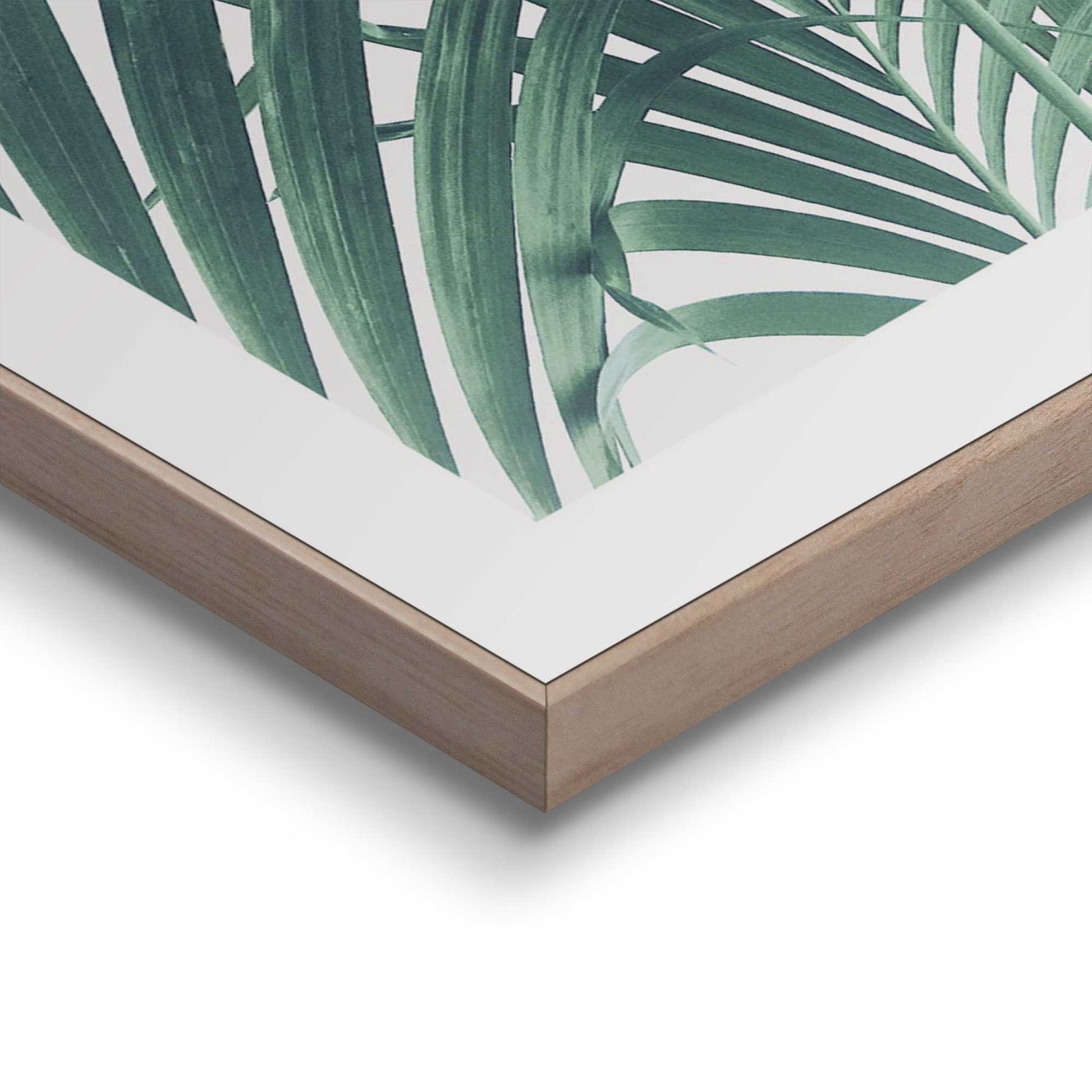 Framed in Wood Palm Tree Leaf