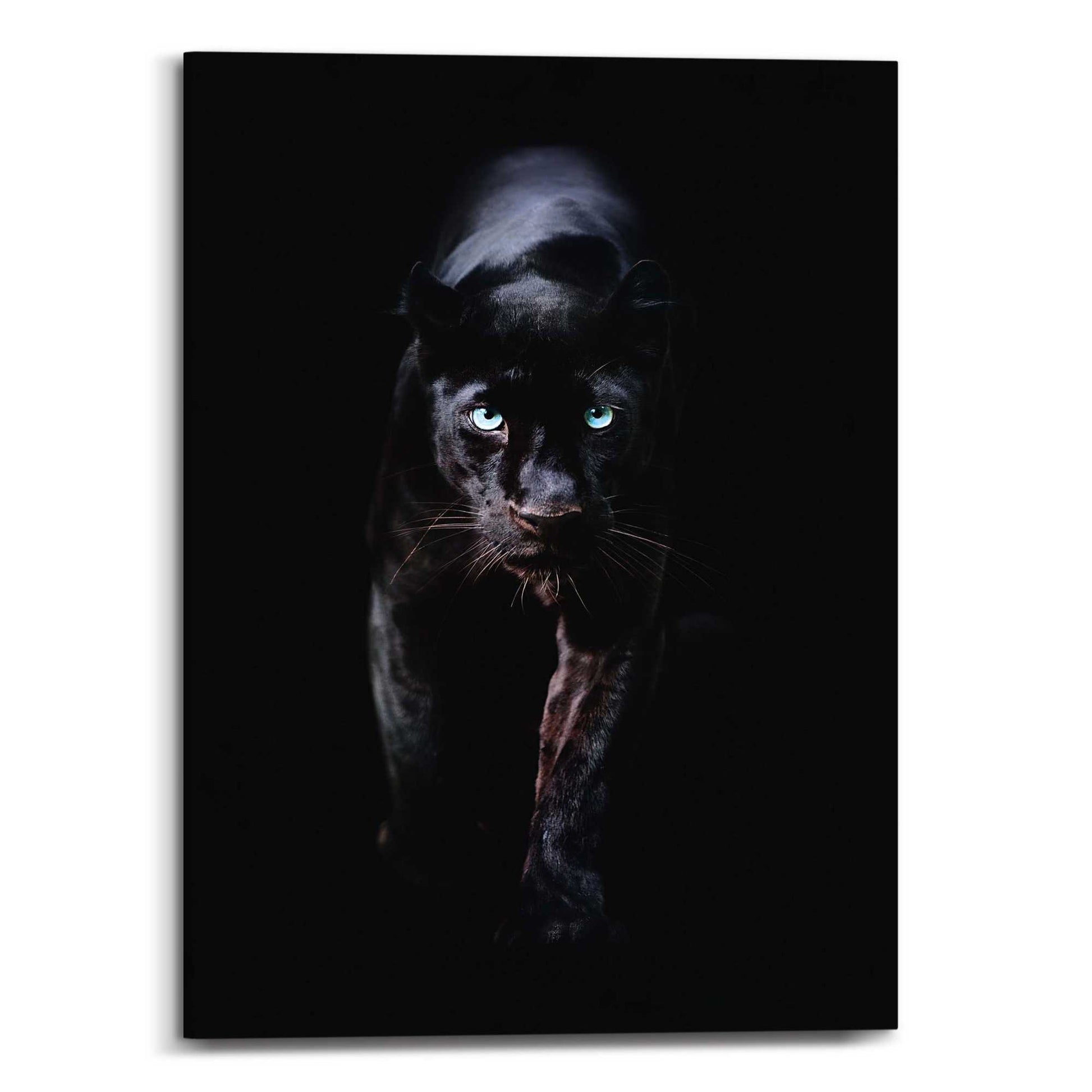Canvas Black Cat