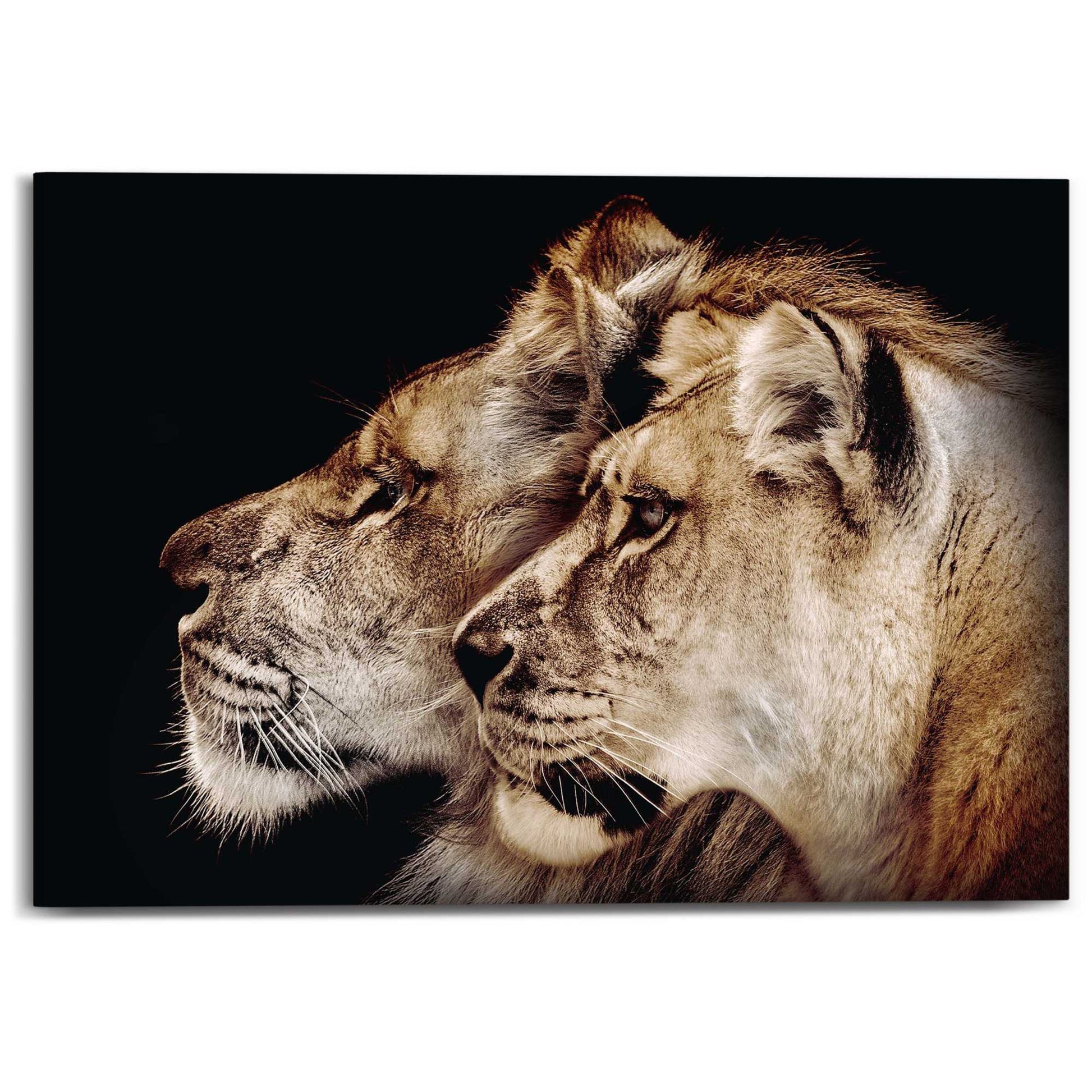 Canvas Lion Pair