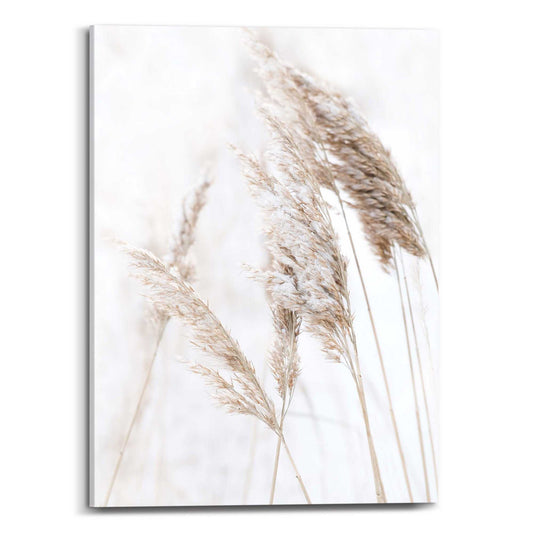 Canvas Nature Grass