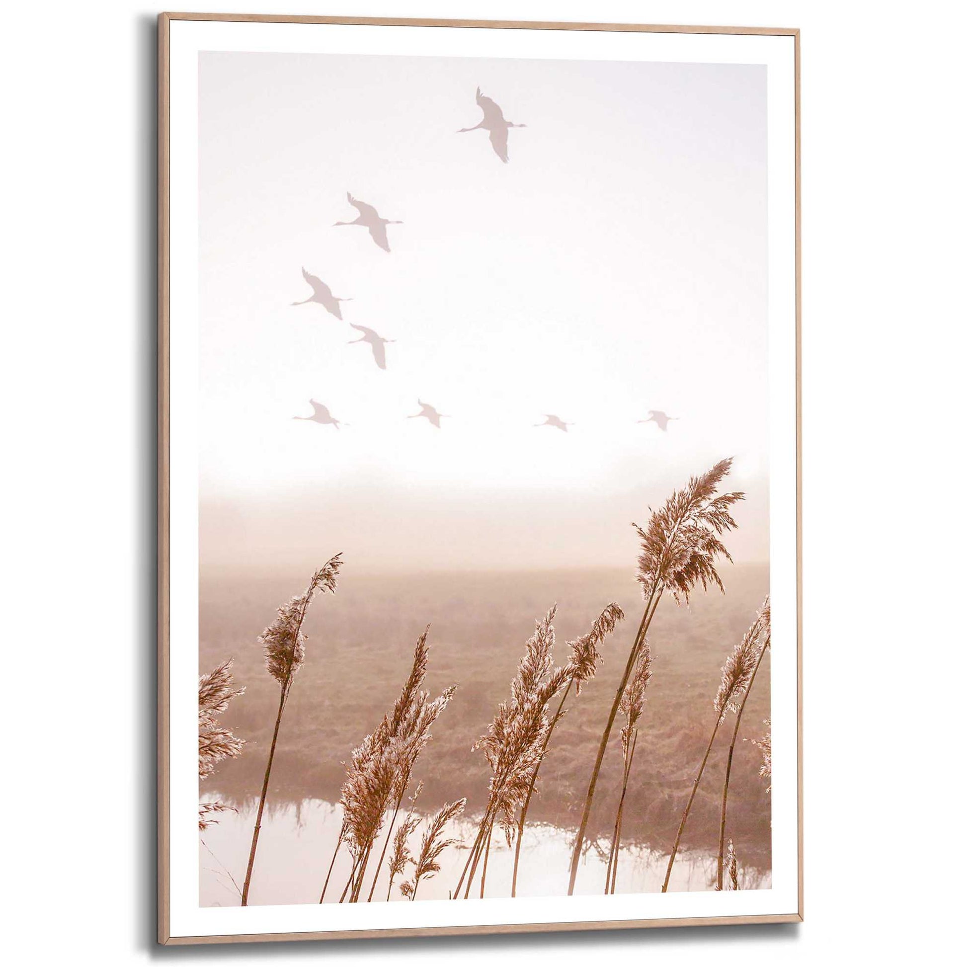 Framed in Wood Tracking Birds