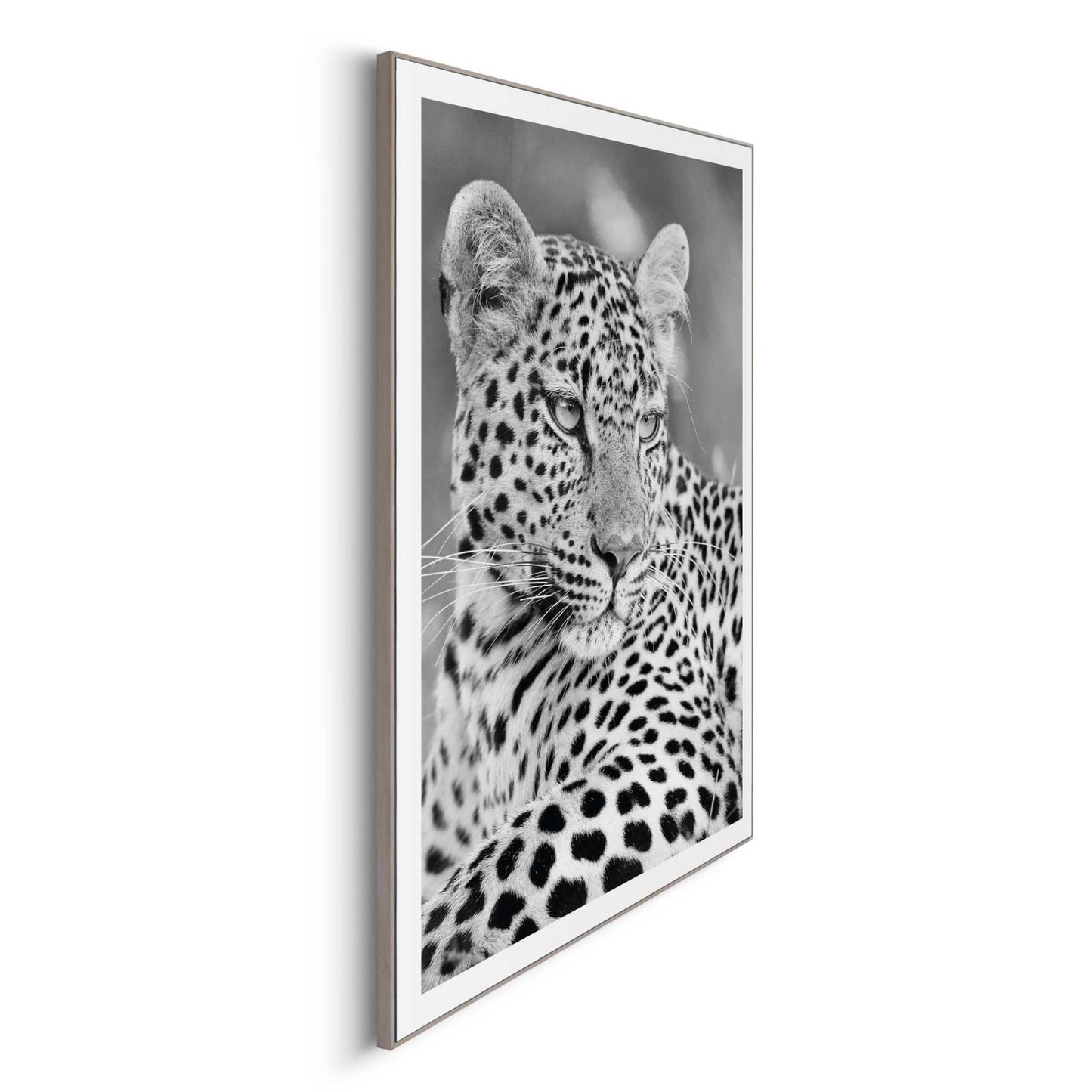 Framed in Wood Panther Dots