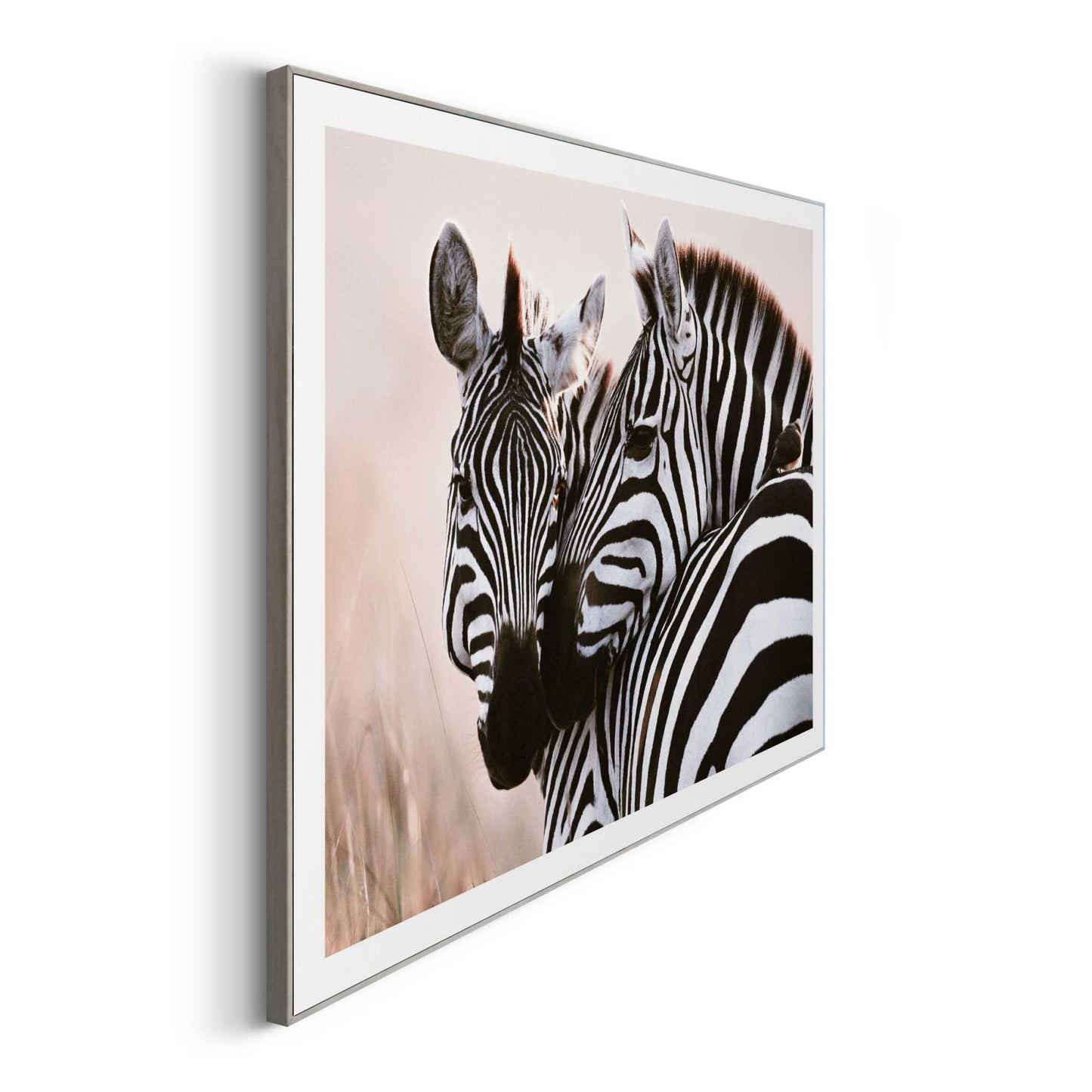 Framed in Wood Soft Zebras