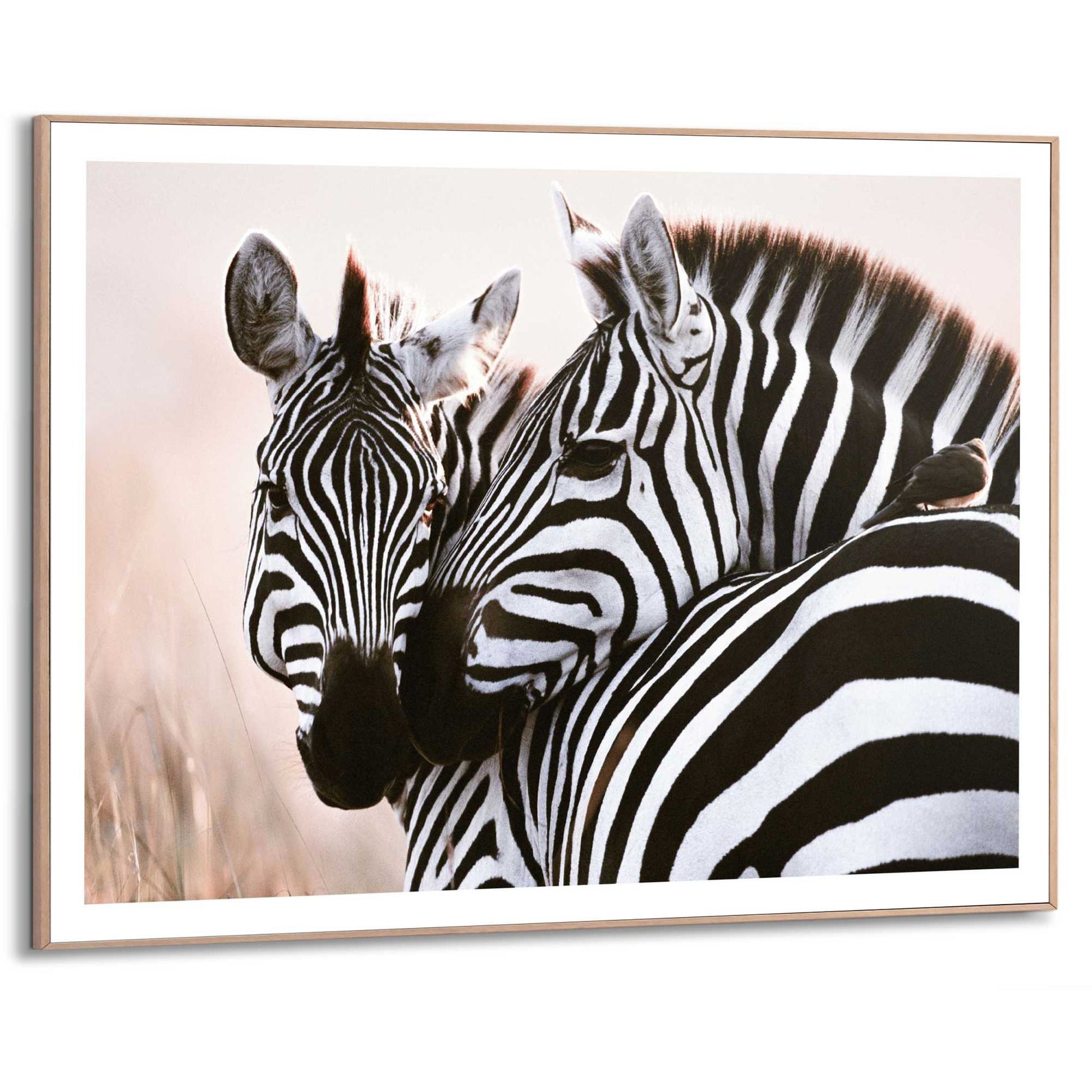 Framed in Wood Soft Zebras