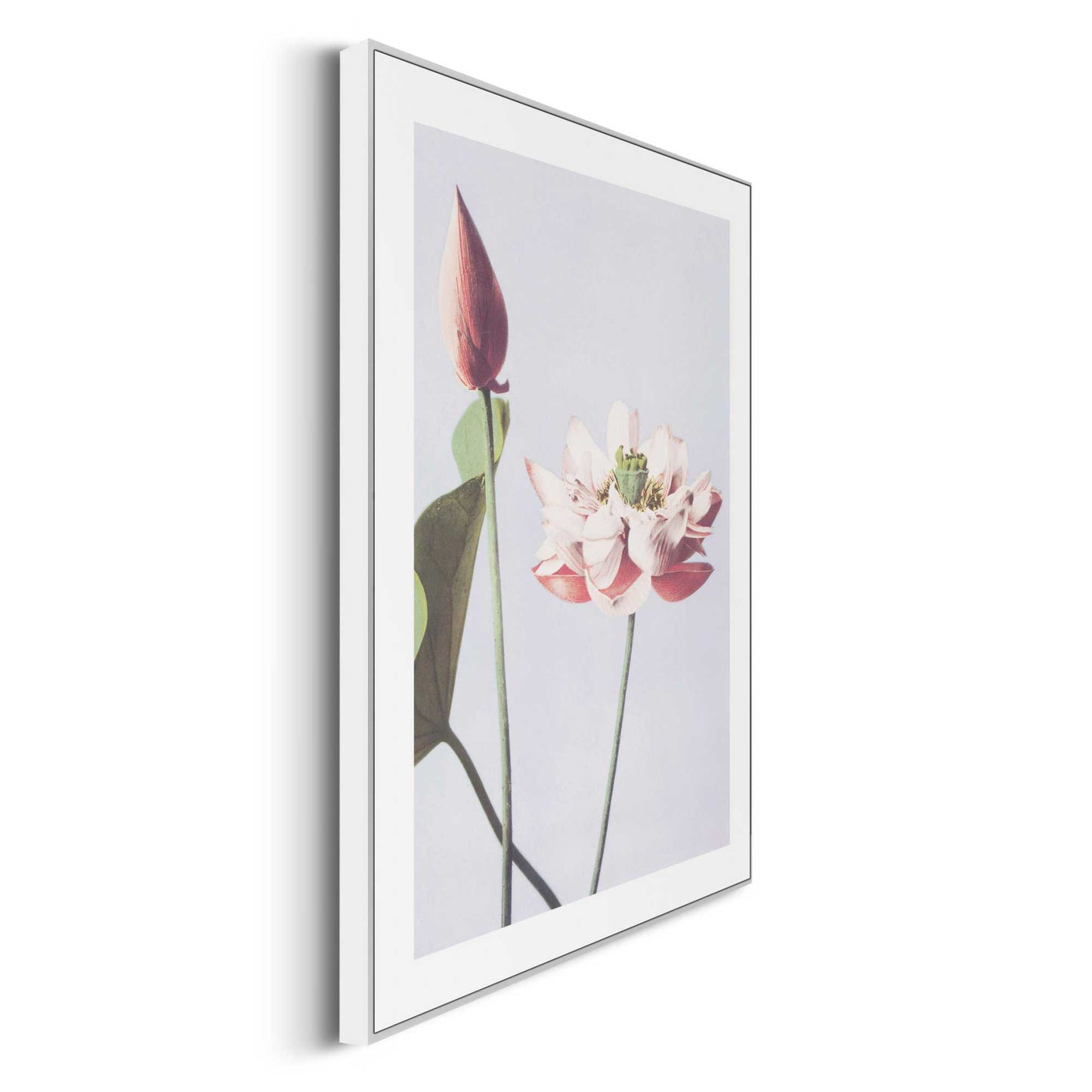 Framed in White Flowers 40x30
