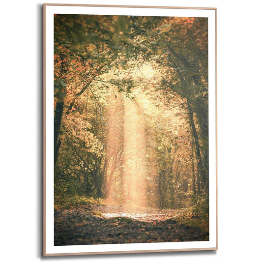 Framed in Wood Autumn Lightness